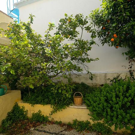 Rhodes City Archontiko Pataka 아파트 외부 사진