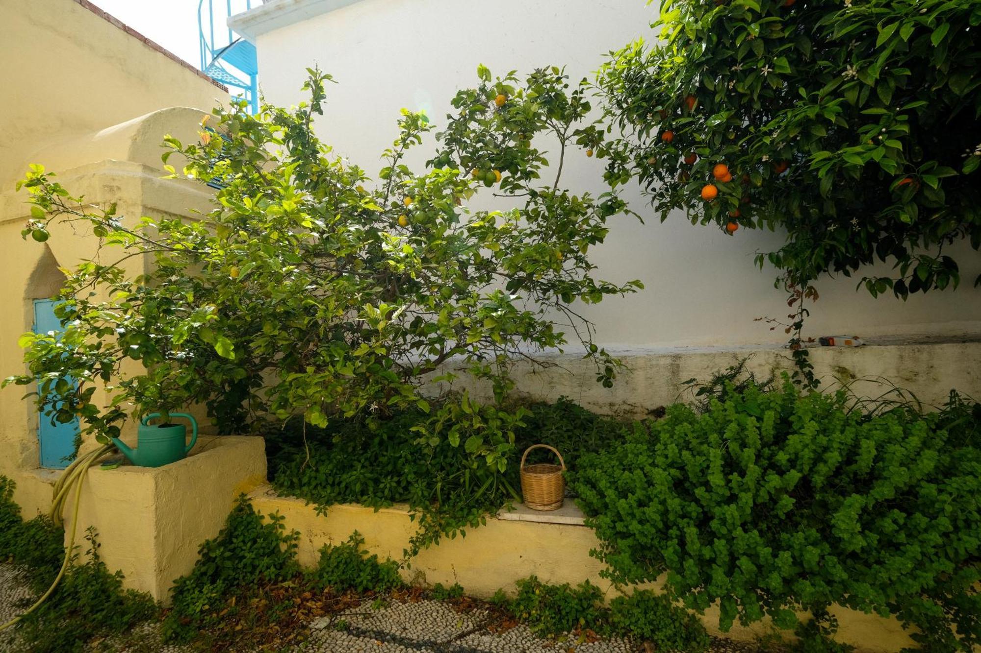 Rhodes City Archontiko Pataka 아파트 외부 사진